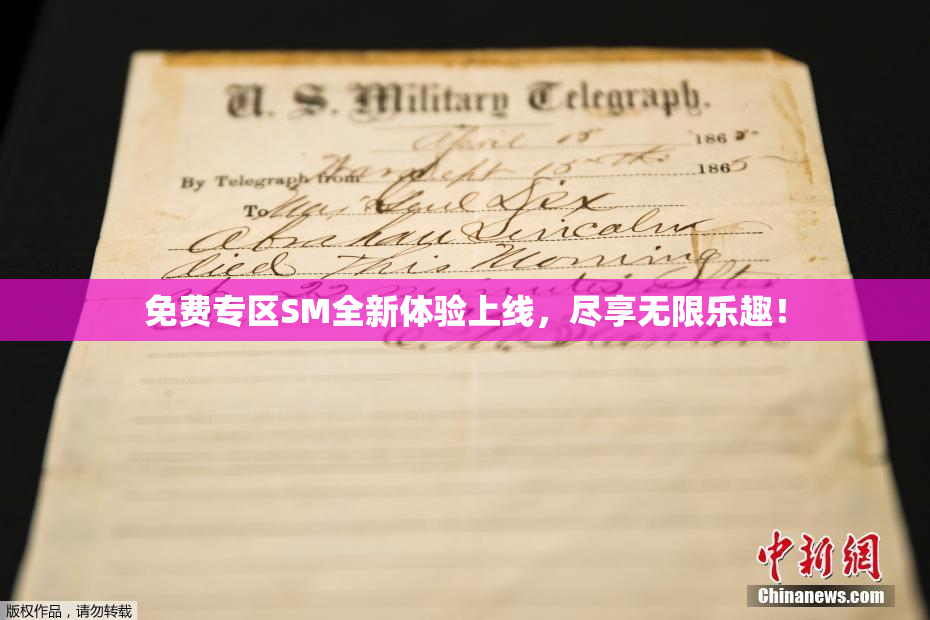 免费专区SM全新体验上线，尽享无限乐趣！
