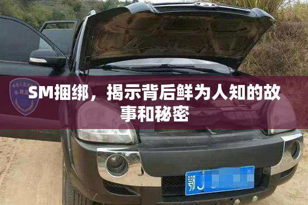 SM捆绑，揭示背后鲜为人知的故事和秘密