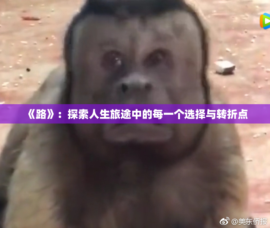 《路》：探索人生旅途中的每一个选择与转折点