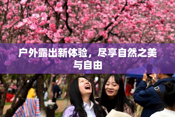 户外露出新体验，尽享自然之美与自由