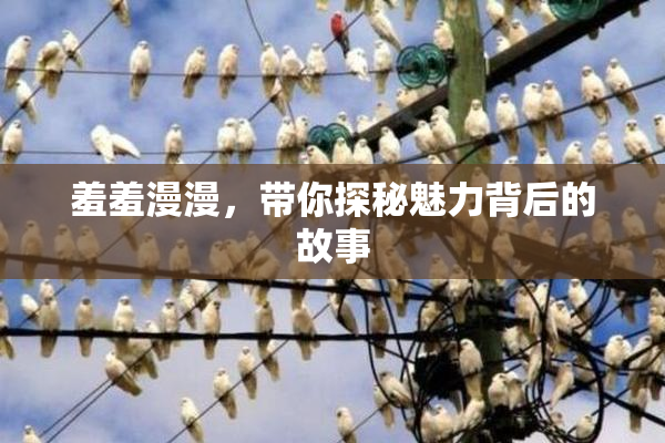 羞羞漫漫，带你探秘魅力背后的故事