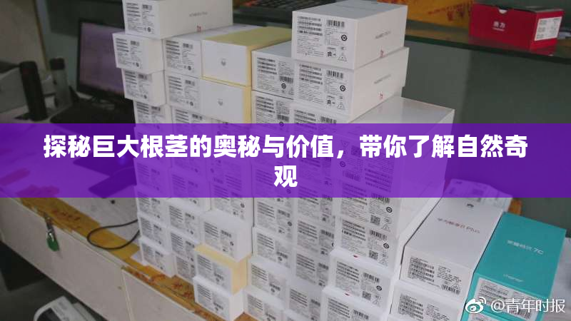 探秘巨大根茎的奥秘与价值，带你了解自然奇观