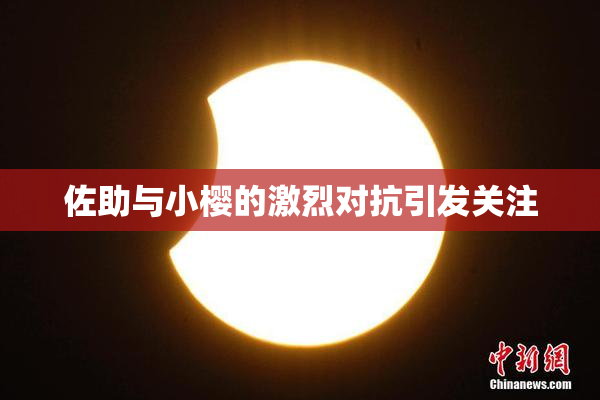 佐助与小樱的激烈对抗引发关注