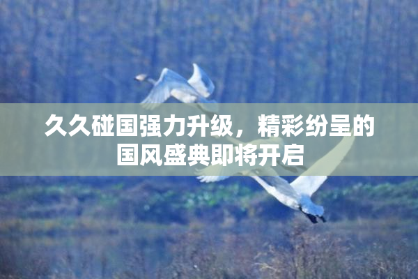 久久碰国强力升级，精彩纷呈的国风盛典即将开启