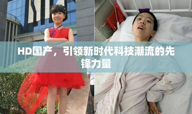 HD国产，引领新时代科技潮流的先锋力量