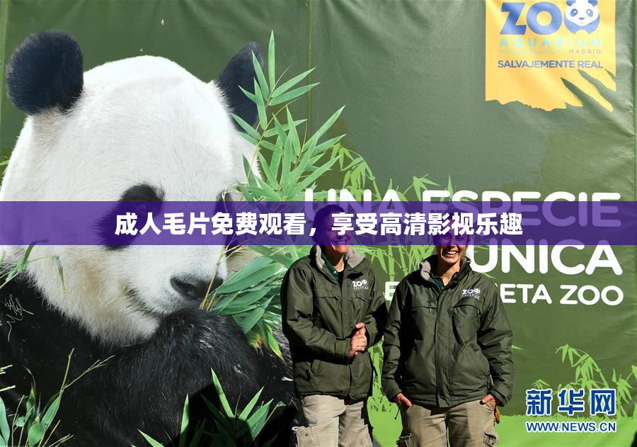 成人毛片免费观看，享受高清影视乐趣