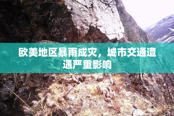 欧美地区暴雨成灾，城市交通遭遇严重影响