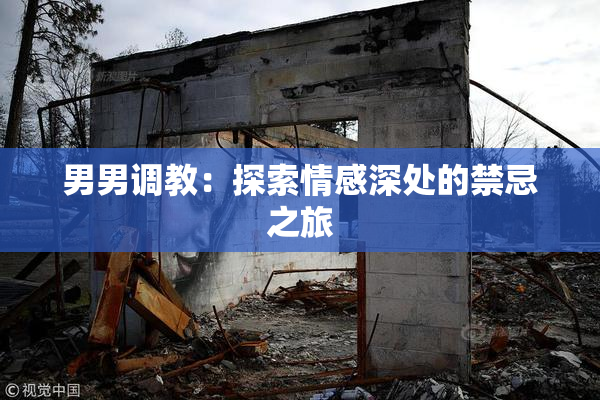 男男调教：探索情感深处的禁忌之旅