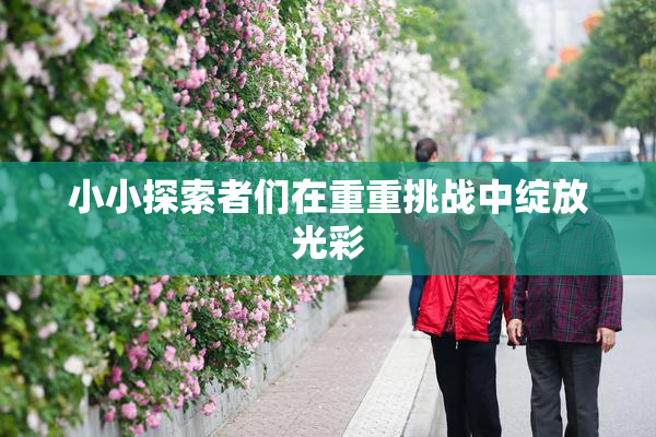 小小探索者们在重重挑战中绽放光彩