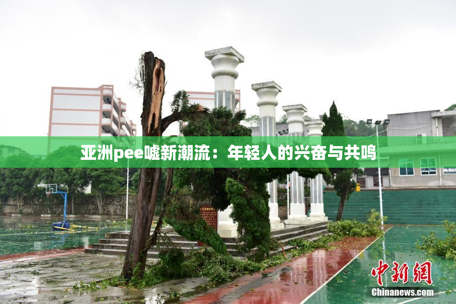 亚洲pee嘘新潮流：年轻人的兴奋与共鸣