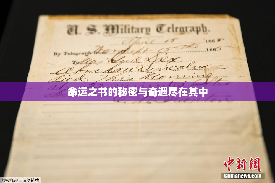 命运之书的秘密与奇遇尽在其中