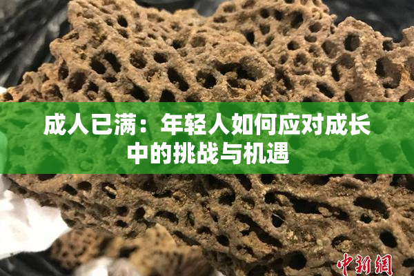 成人已满：年轻人如何应对成长中的挑战与机遇