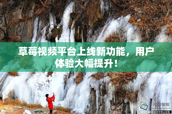 草莓视频平台上线新功能，用户体验大幅提升！