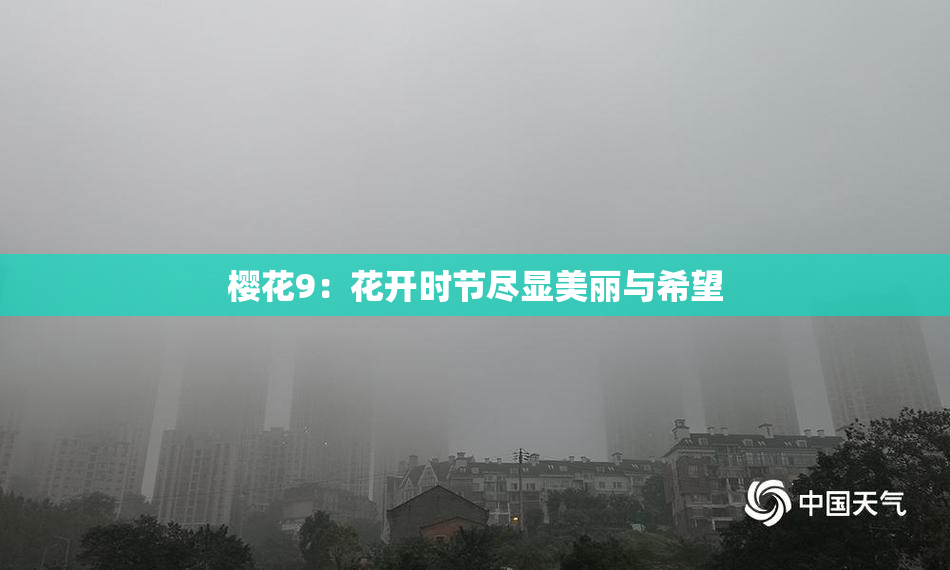 樱花9：花开时节尽显美丽与希望