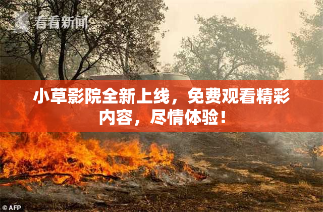 小草影院全新上线，免费观看精彩内容，尽情体验！