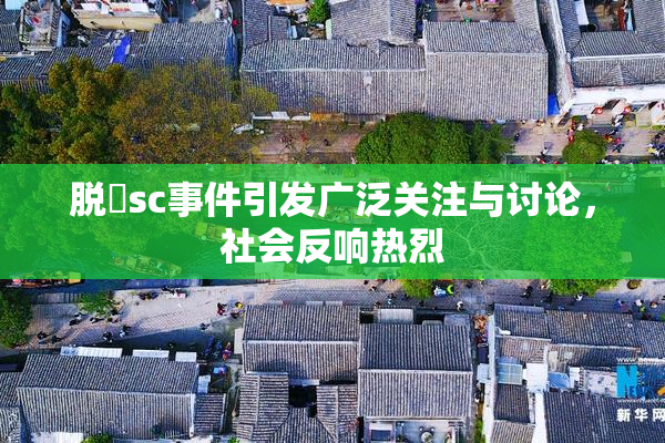 脱糞sc事件引发广泛关注与讨论，社会反响热烈