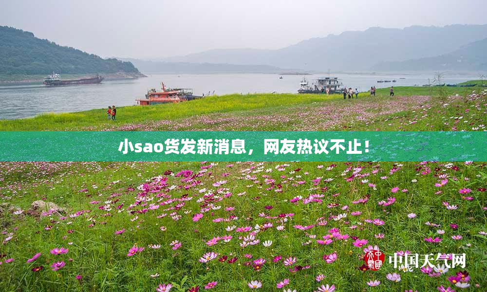 小sao货发新消息，网友热议不止！