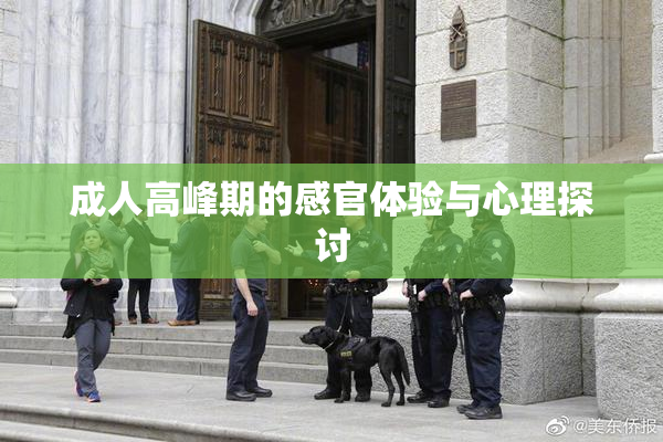 成人高峰期的感官体验与心理探讨