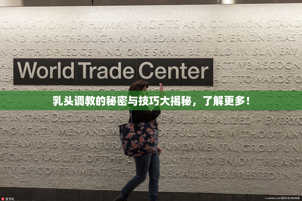 乳头调教的秘密与技巧大揭秘，了解更多！