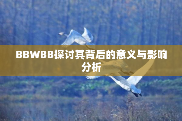BBWBB探讨其背后的意义与影响分析