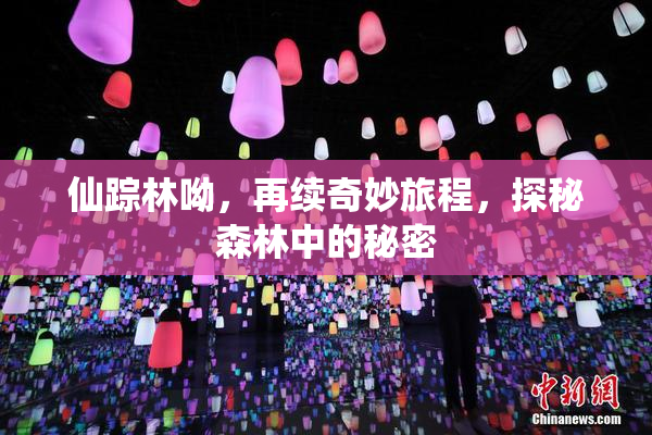 仙踪林呦，再续奇妙旅程，探秘森林中的秘密
