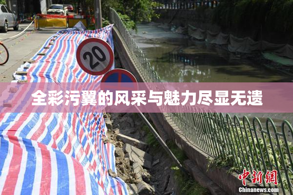 全彩污翼的风采与魅力尽显无遗
