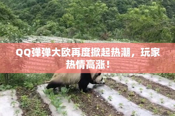 QQ弹弹大欧再度掀起热潮，玩家热情高涨！