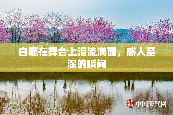 白鹿在舞台上泪流满面，感人至深的瞬间
