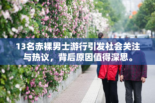 13名赤裸男士游行引发社会关注与热议，背后原因值得深思。