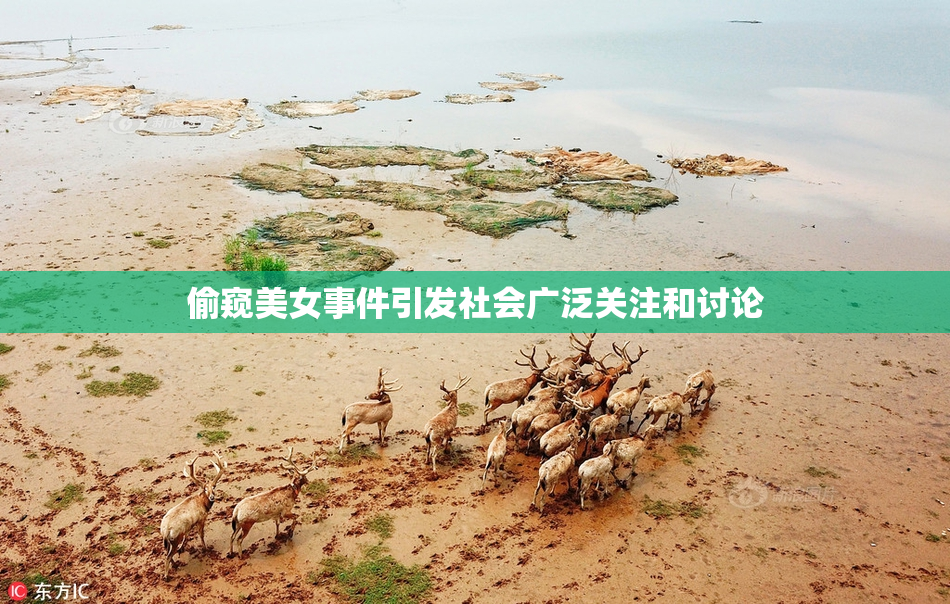 偷窥美女事件引发社会广泛关注和讨论