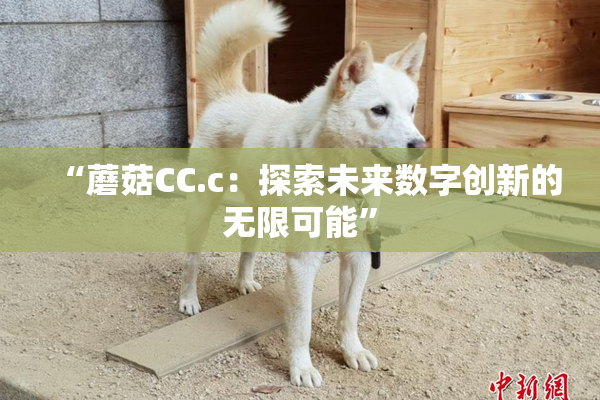 “蘑菇CC.c：探索未来数字创新的无限可能”