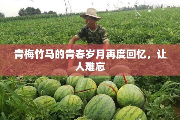 青梅竹马的青春岁月再度回忆，让人难忘