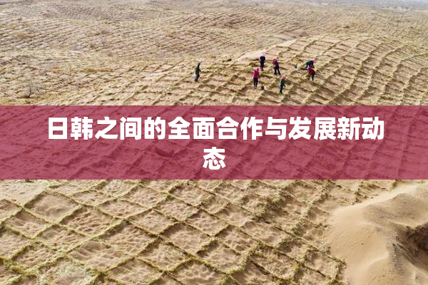 日韩之间的全面合作与发展新动态