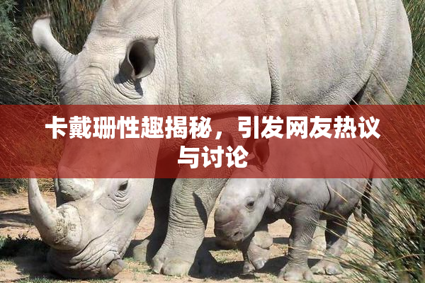 卡戴珊性趣揭秘，引发网友热议与讨论