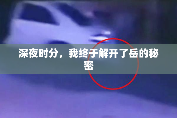 深夜时分，我终于解开了岳的秘密