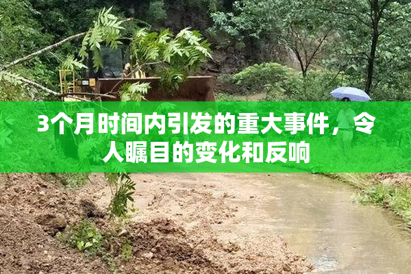 3个月时间内引发的重大事件，令人瞩目的变化和反响