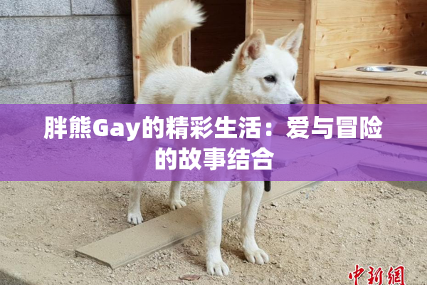 胖熊Gay的精彩生活：爱与冒险的故事结合