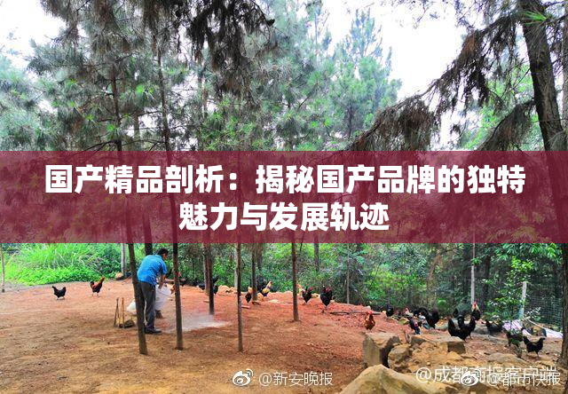 国产精品剖析：揭秘国产品牌的独特魅力与发展轨迹