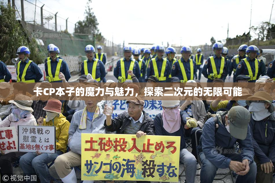 卡CP本子的魔力与魅力，探索二次元的无限可能