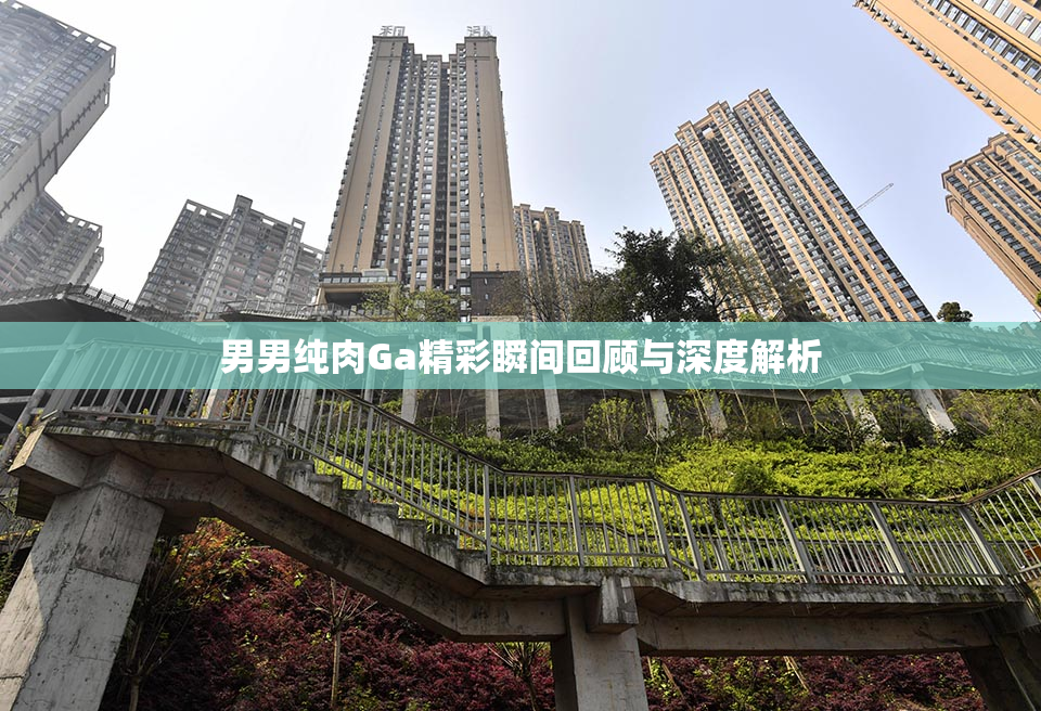 男男纯肉Ga精彩瞬间回顾与深度解析