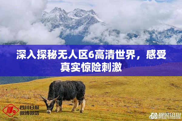 深入探秘无人区6高清世界，感受真实惊险刺激