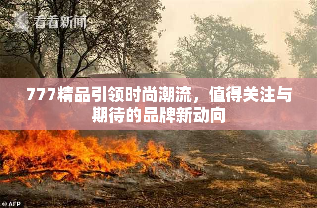 777精品引领时尚潮流，值得关注与期待的品牌新动向