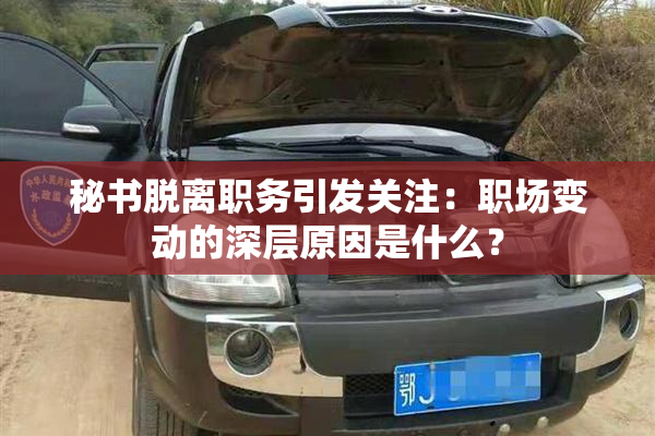 秘书脱离职务引发关注：职场变动的深层原因是什么？