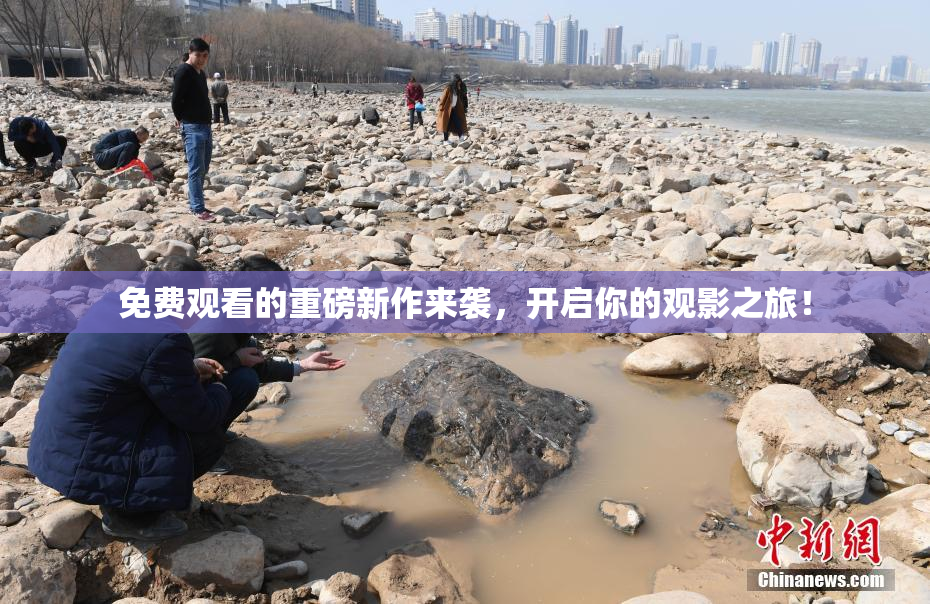 免费观看的重磅新作来袭，开启你的观影之旅！