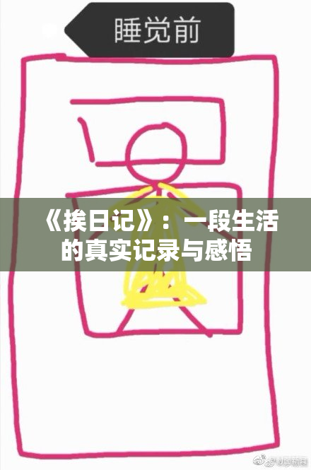《挨日记》：一段生活的真实记录与感悟