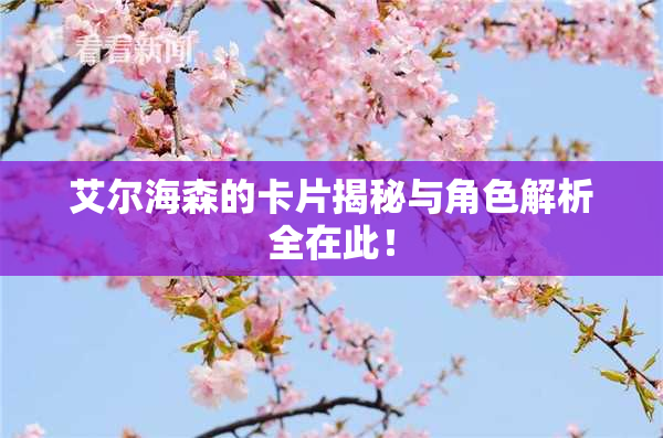 艾尔海森的卡片揭秘与角色解析全在此！
