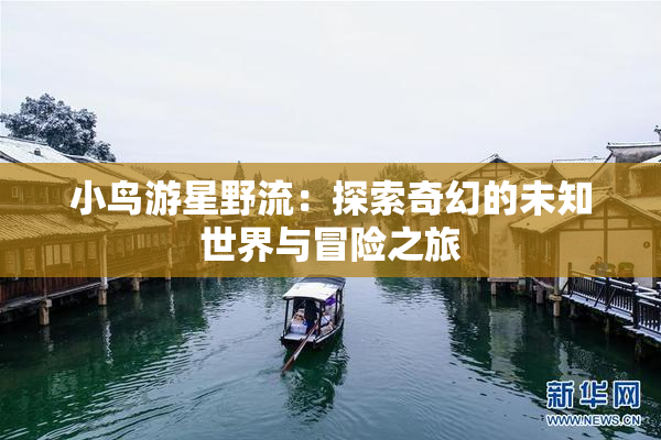小鸟游星野流：探索奇幻的未知世界与冒险之旅