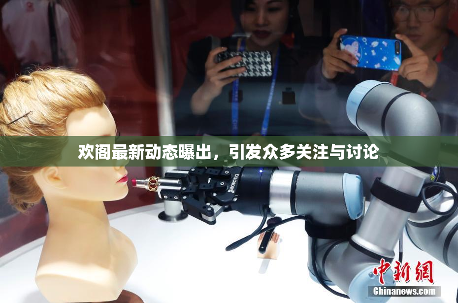欢阁最新动态曝出，引发众多关注与讨论