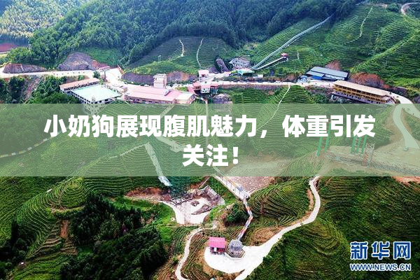 小奶狗展现腹肌魅力，体重引发关注！
