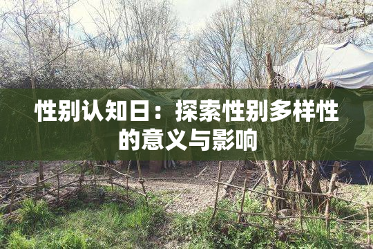 性别认知日：探索性别多样性的意义与影响